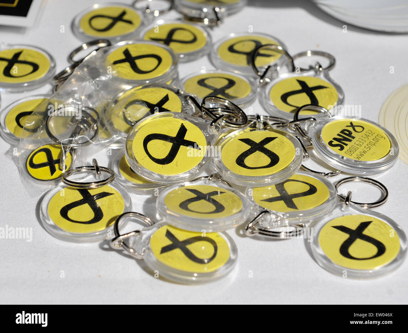 Le Parti national écossais ont tenu leur conférence de printemps à la SECC à Glasgow avant l'élection générale du 7 mai avec 3 000 délégués présents. Doté d''atmosphère : où : Glasgow, Royaume-Uni Quand : 28 mars 2015 C Banque D'Images Le Parti national écossais ont tenu leur conférence de printemps à la SECC à Glasgow avant l'élection générale du 7 mai avec 3 000 délégués présents. Doté d''atmosphère : où : Glasgow, Royaume-Uni Quand : 28 mars 2015 C Banque D'Images