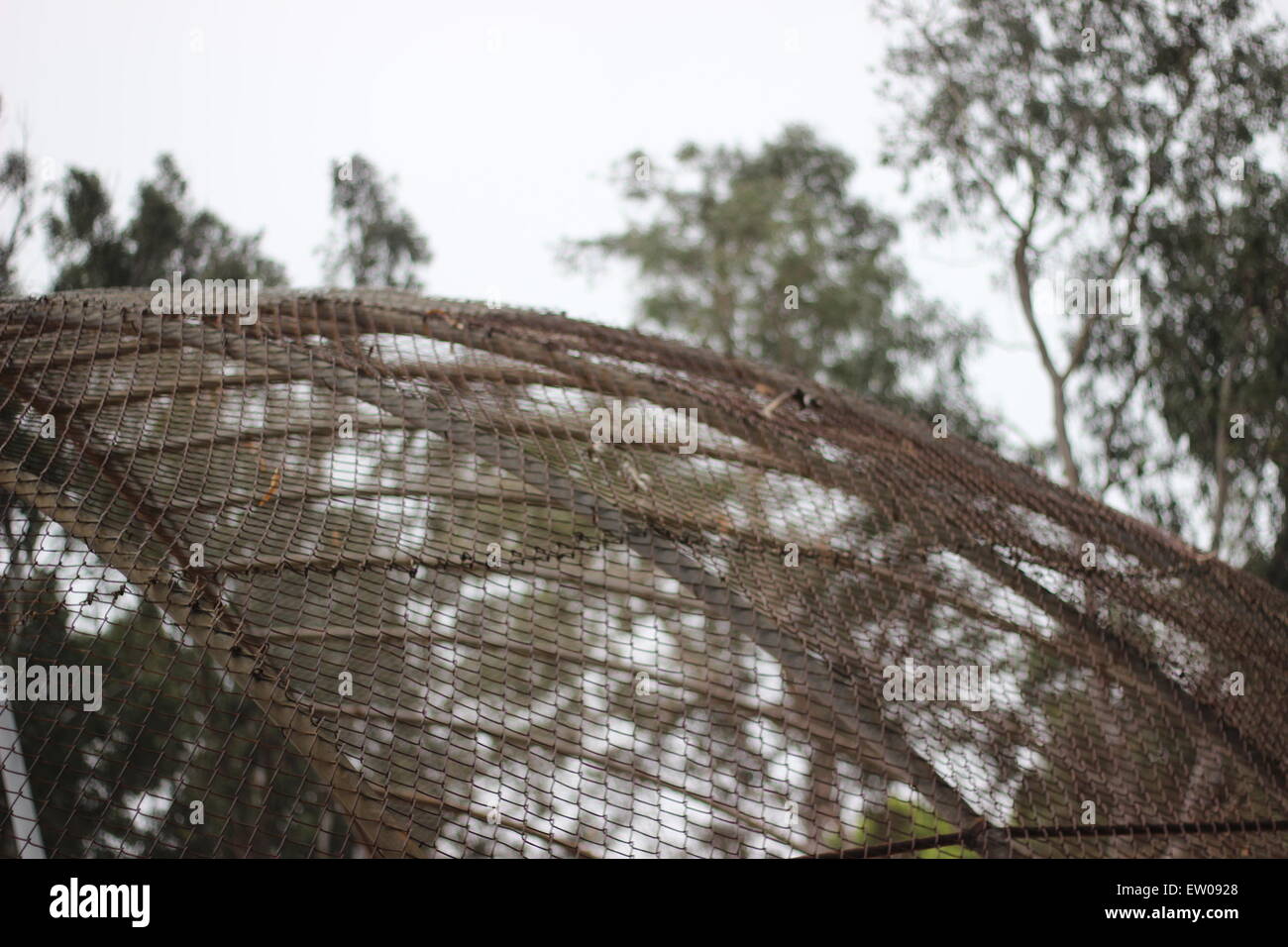 Le grillage sur un terrain de baseball. Banque D'Images