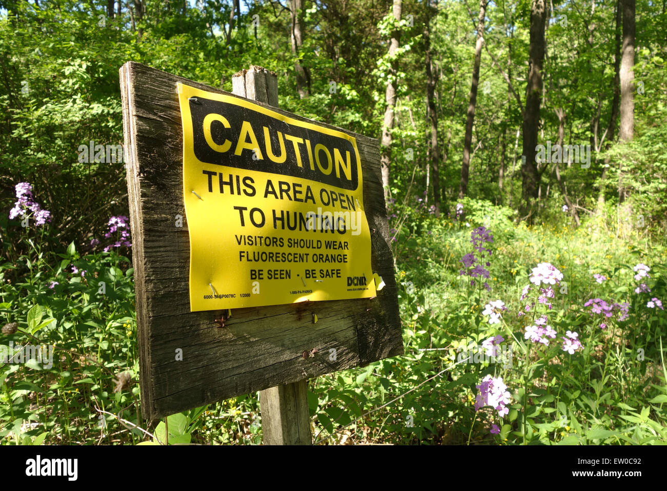 Les panneaux de sécurité, attention, zone ouverte à la chasse, à forest, North Carolina, USA. Banque D'Images