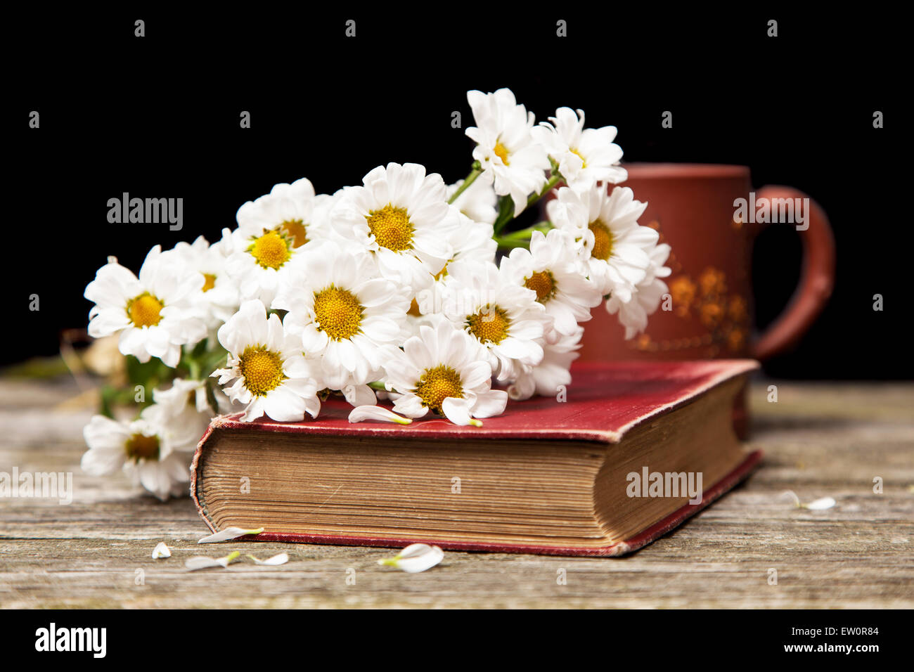 Le café, les marguerites et un livre Banque D'Images