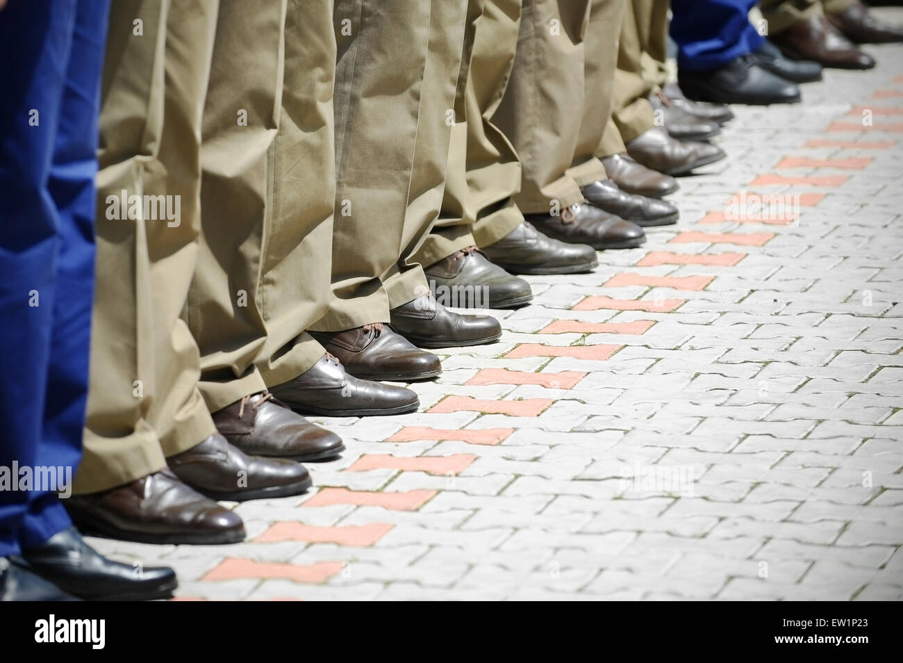 L'uniforme militaire kaki et bleu se distingue d'une ligne de soldats pendant un défilé militaire Banque D'Images