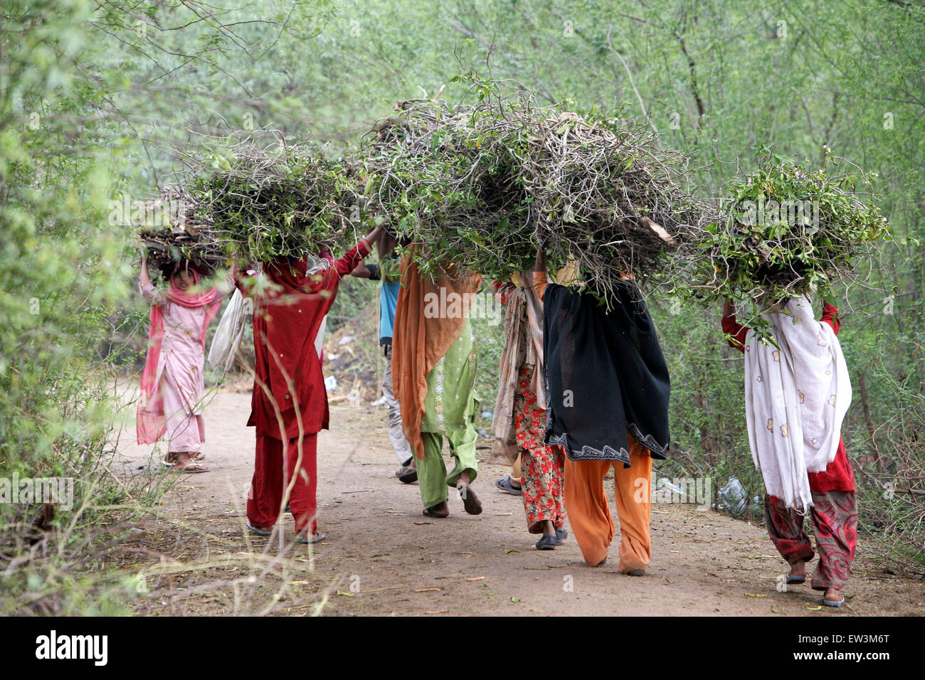 Les femmes portent sur leur tête le foin, Tamil Nadu, Inde Banque D'Images