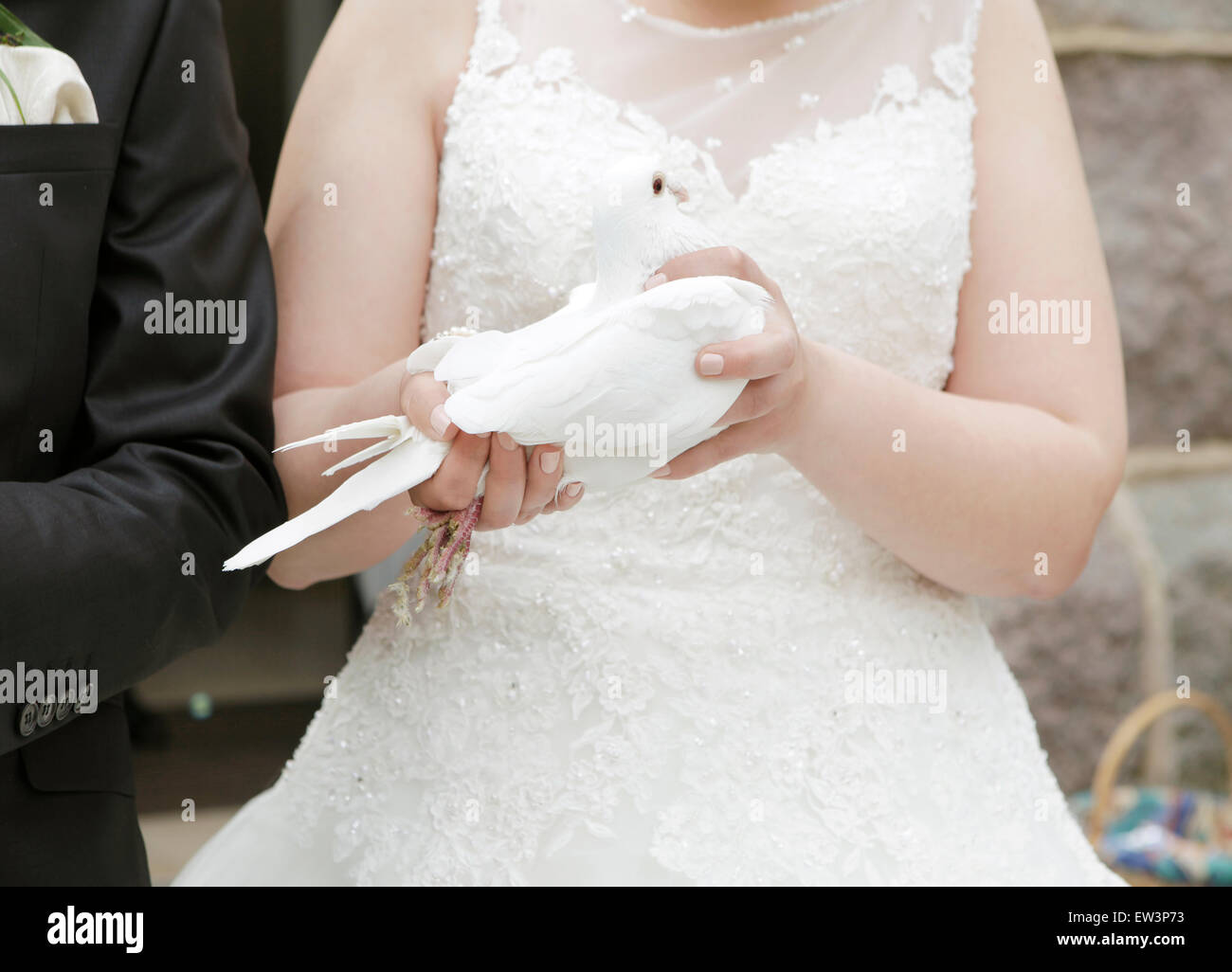 Une mariée en robe de mariée blanche tenant une colombe dans la main Banque D'Images