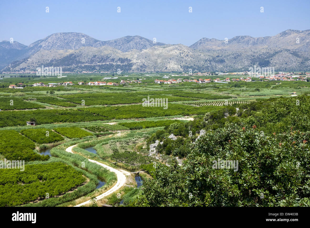 Zone fertile près de Makarska Riviera, Dalmatie, Croatie Banque D'Images