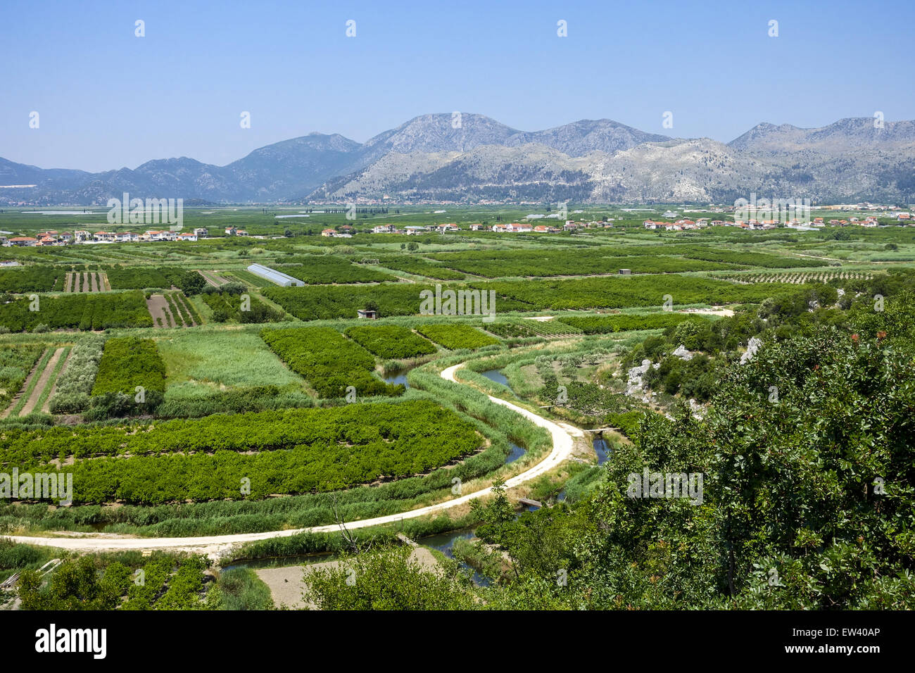 Zone fertile près de Makarska Riviera, Dalmatie, Croatie Banque D'Images