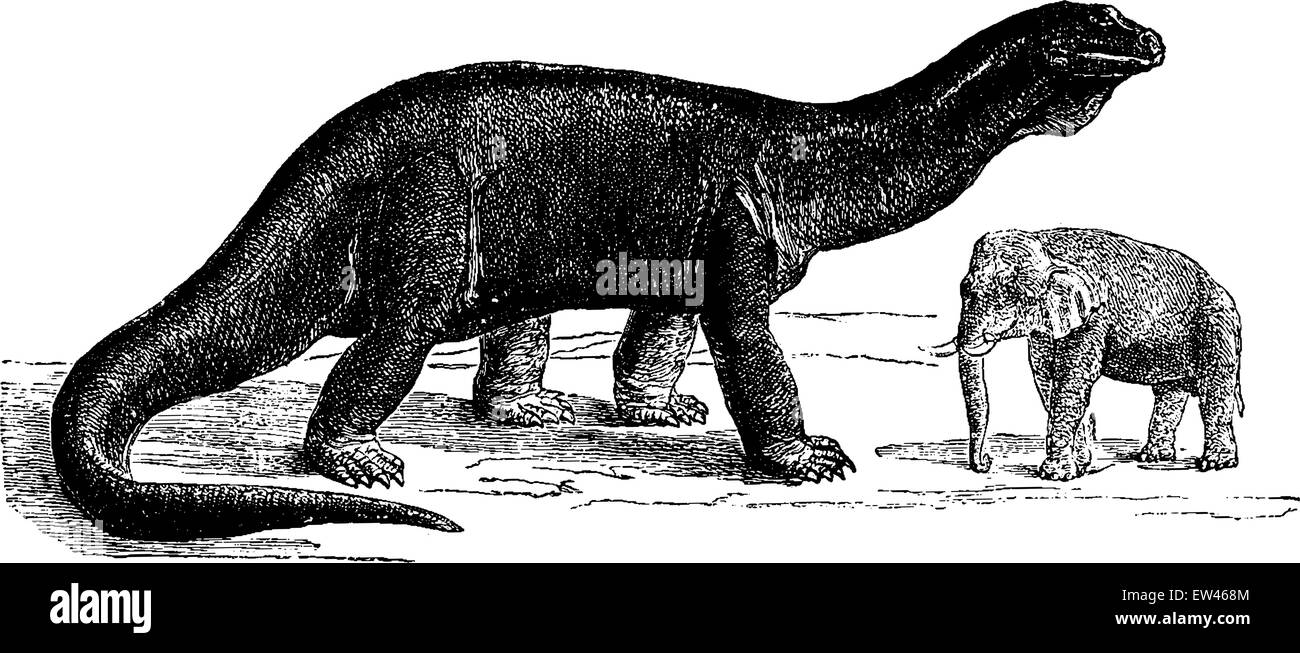 Atlantosaurus, les animaux les plus grands jamais d'exister, vintage engraved illustration. Terre avant l'homme - 1886. Illustration de Vecteur