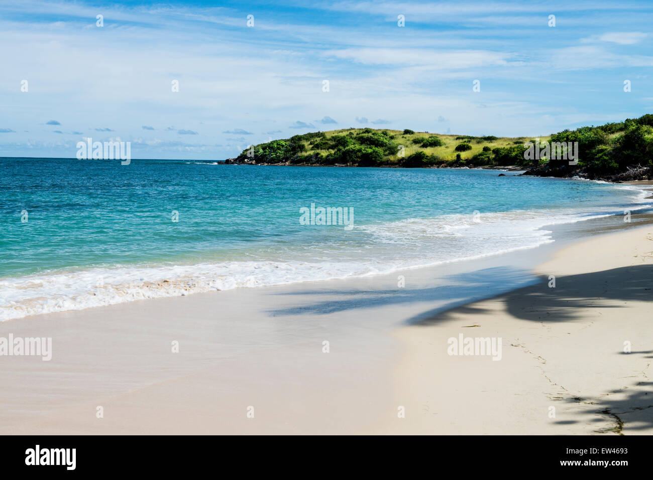 Vue de la plage sur l'est de Sainte Croix, îles Vierges américaines, montrant l'ombre d'un palmier sur la plage. Banque D'Images