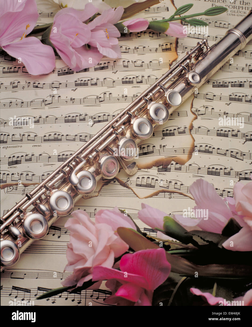 Флейта в цветах. Флейта. Флейта картинка. Красивая флейта. Современная флейта.