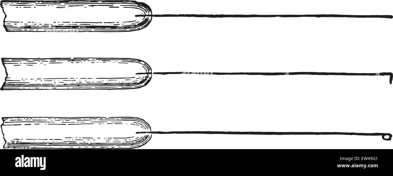 Les aiguilles d'inoculation de platine monté dans les tiges de verre, vintage engraved illustration. Illustration de Vecteur