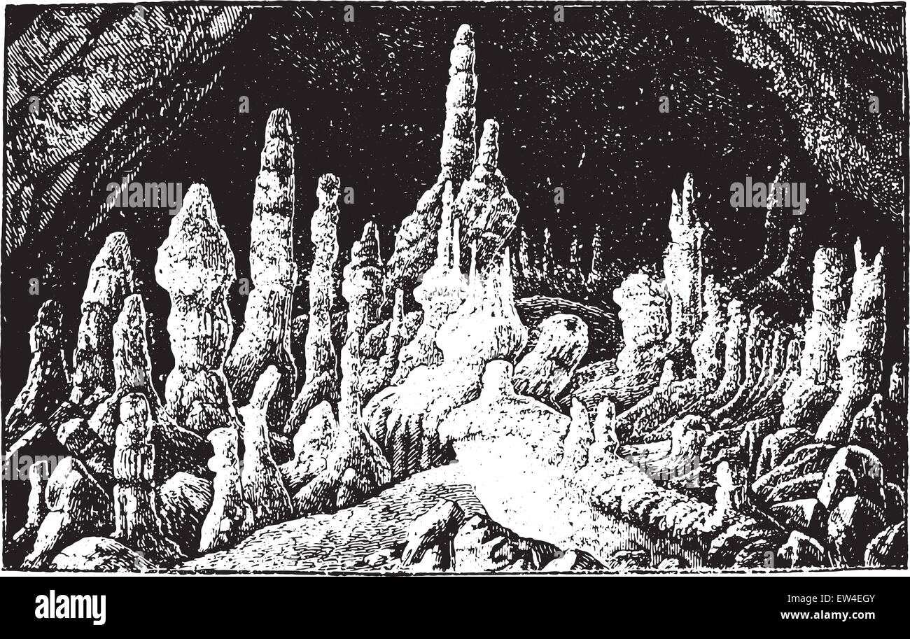 Les stalagmites, vintage engraved illustration. La vie dans la nature, 1890. Illustration de Vecteur