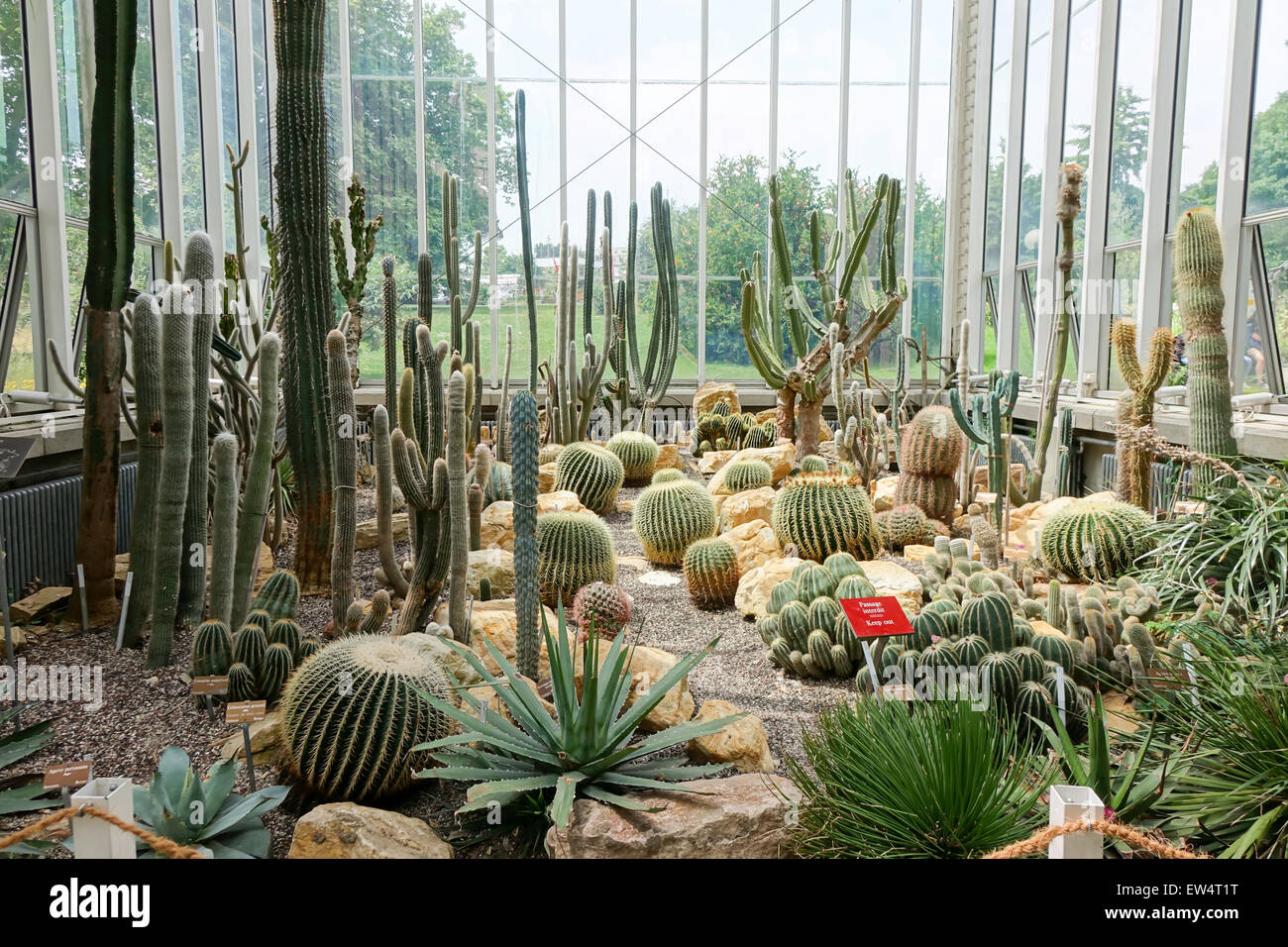 Maison de verre Jardins Botaniques de Genève Banque D'Images