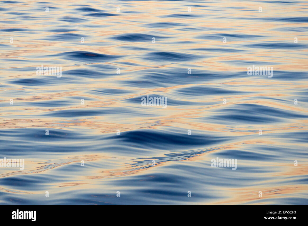 Les vagues dans la lumière du soir, de la mer, du détroit du Danemark, le Groenland Banque D'Images