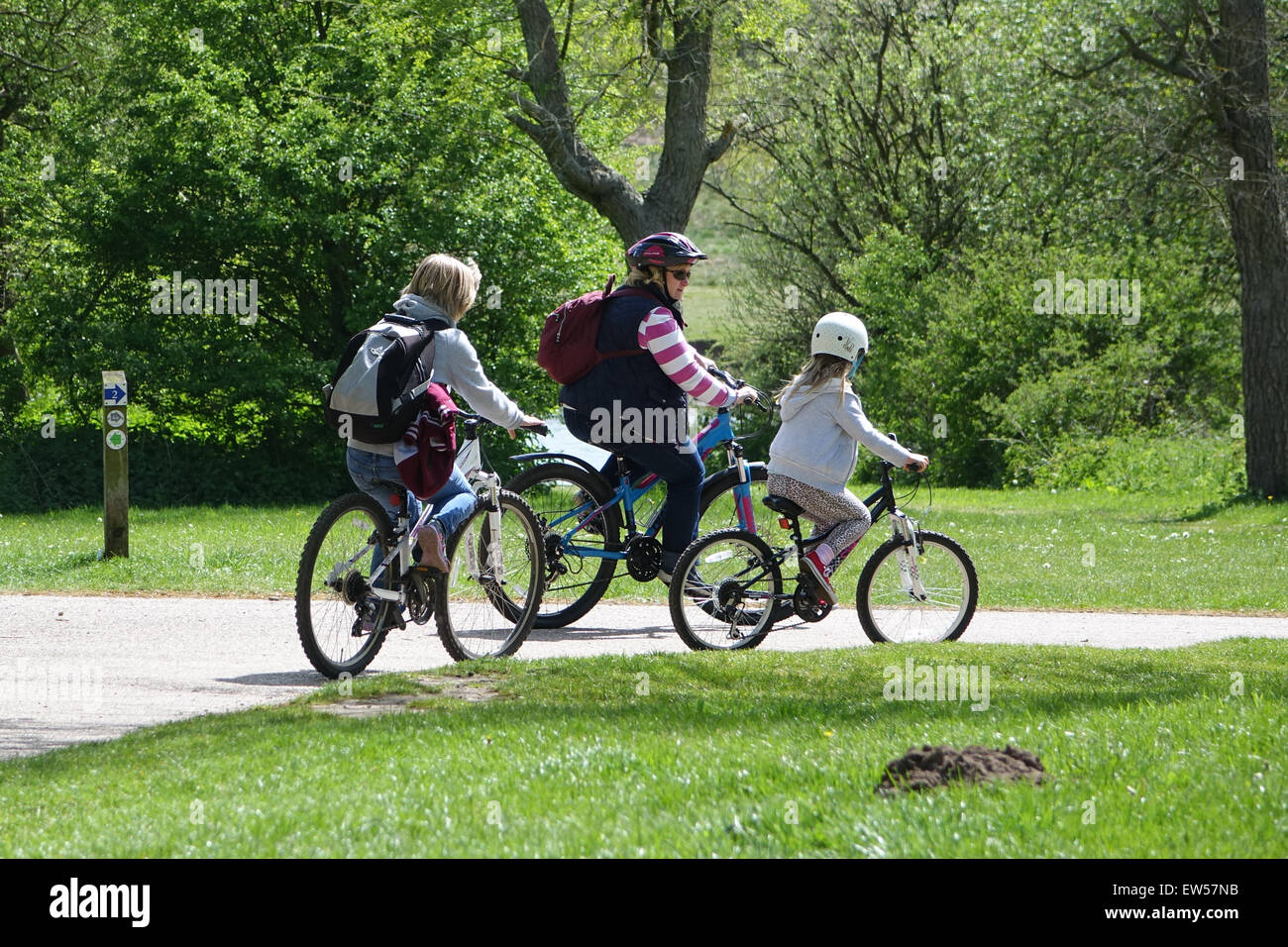 Famille de cyclisme Banque D'Images