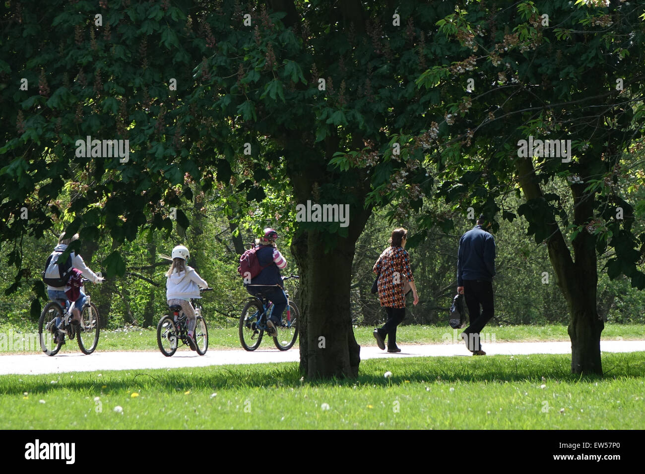 Famille de cyclisme Banque D'Images