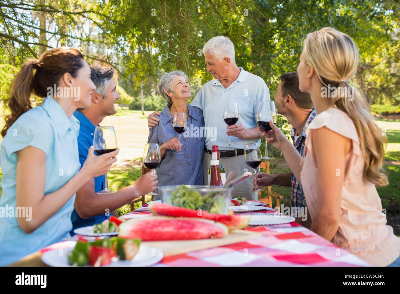 Professionnels Seniors toasting avec leur famille Banque D'Images