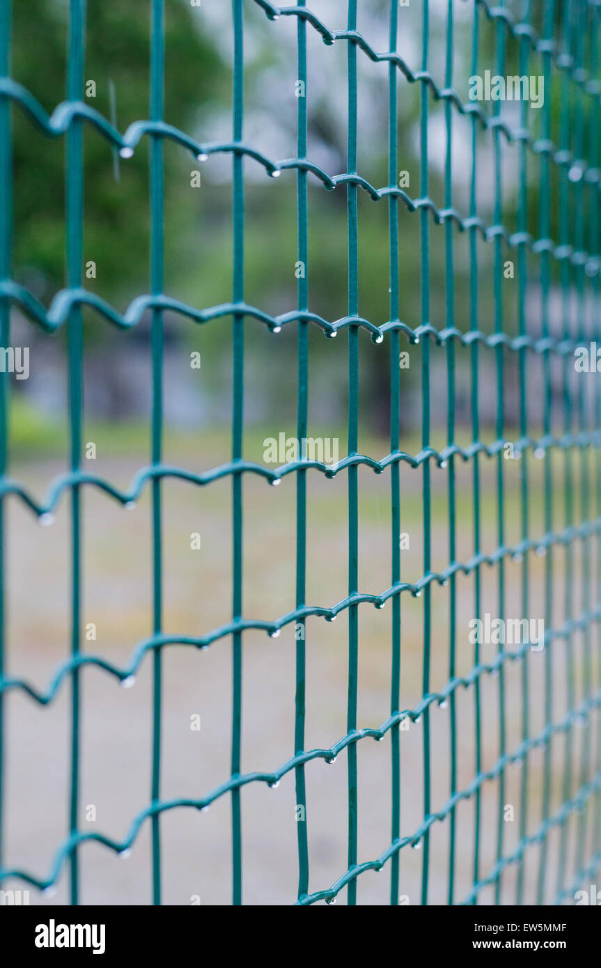 Clôture en fil vert après la pluie closeup Banque D'Images