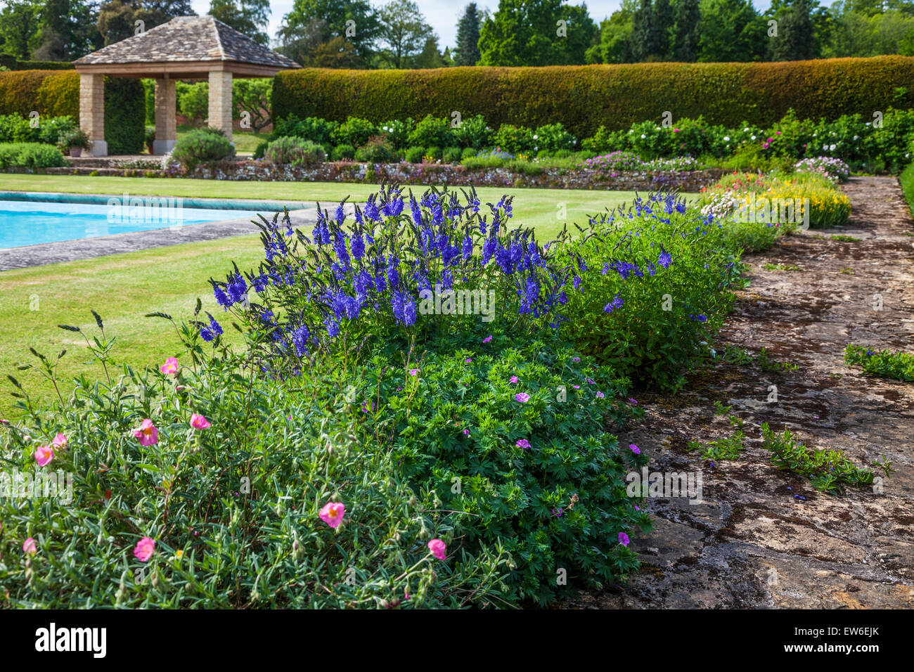 La floraison bordure autour de la piscine de Bowood House dans le Wiltshire. Banque D'Images