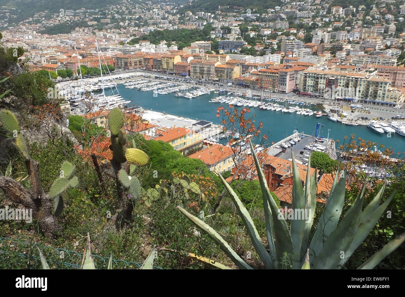 Vue sur le vieux port Nice France avec des plantes exotiques dans l'avant-plan Banque D'Images