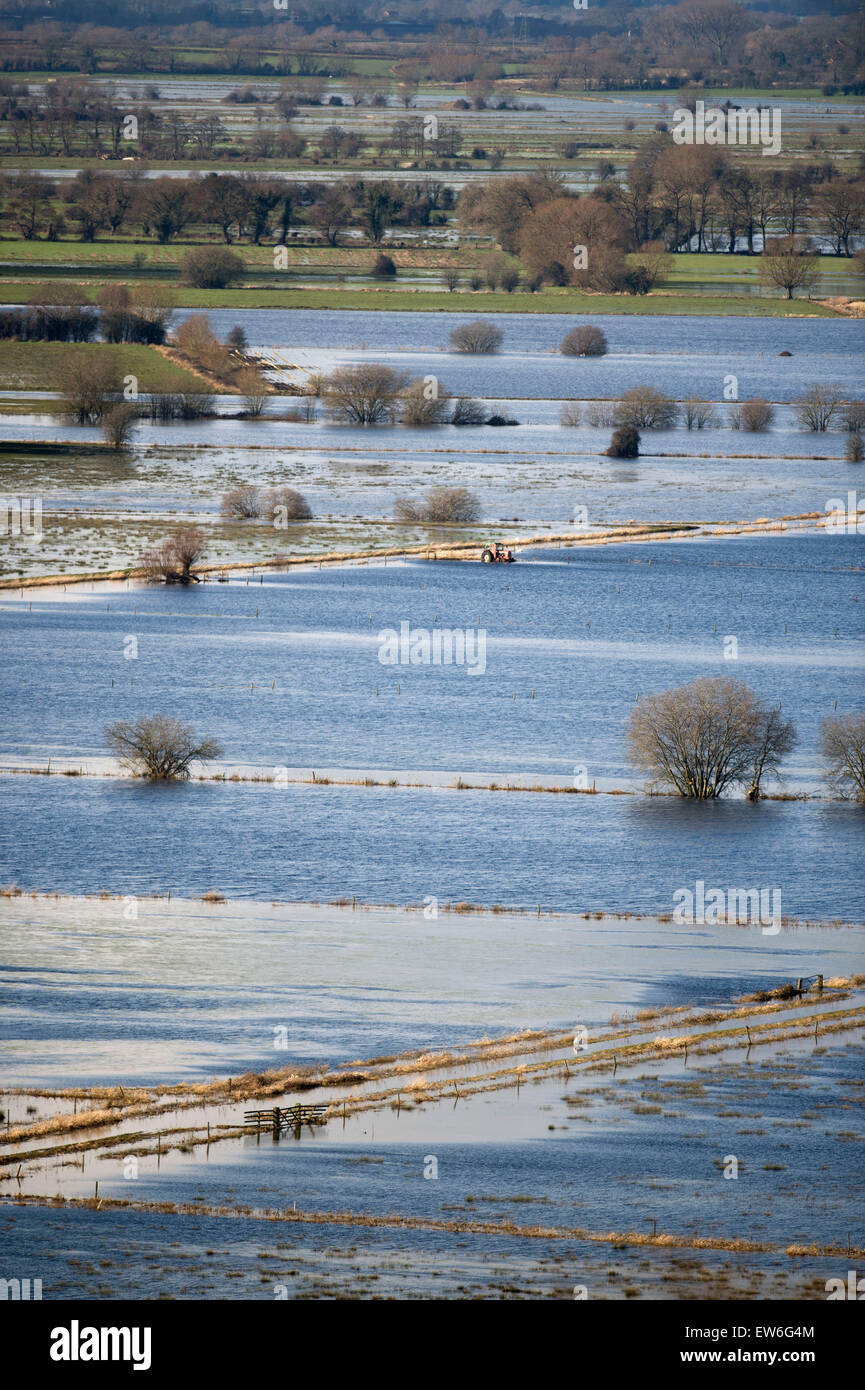 L'amélioration de la météo a donné certaines parties du Somerset Levels la chance de récupérer - ici les champs et les fossés se dégagent de la fl Banque D'Images
