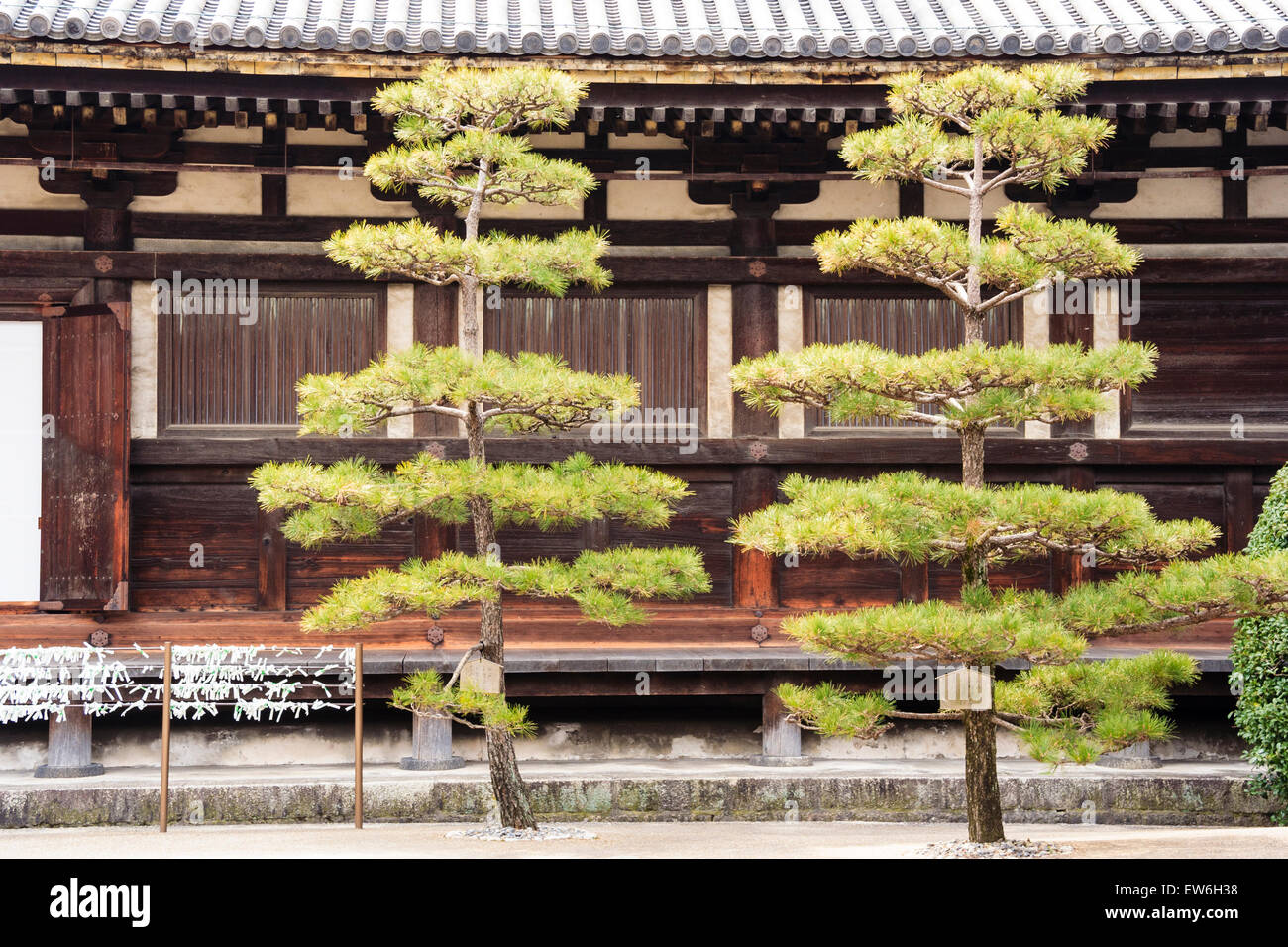 Japon, Kyoto. Temple de Sanjusangen-do. Partie de la grande salle en bois avec deux arbres japonais en face Banque D'Images