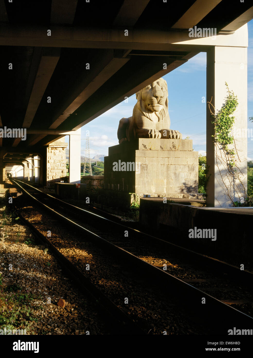 Victorian 80 tonnes de lion en pierre à côté de la ligne de chemin de fer à côté de l'Anglesey pont Britannia traversant le détroit de Menai : un des quatre par John Thomas. Banque D'Images