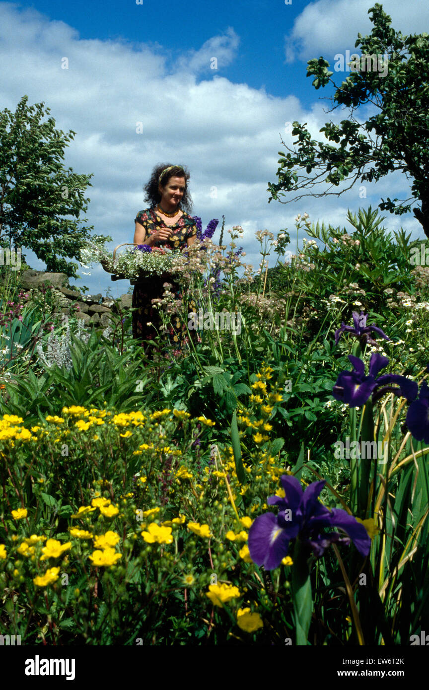 Femme vide delphiniums dans un pays jardin Banque D'Images