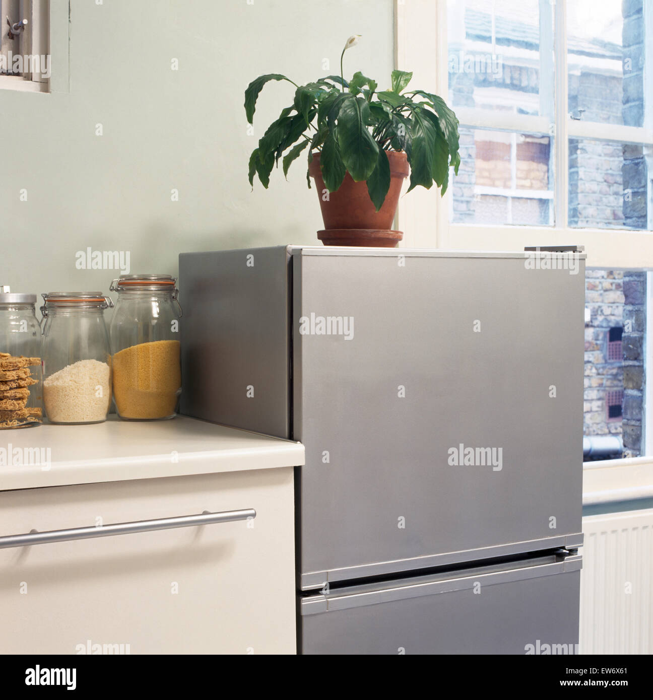 Plante au-dessus d'un réfrigérateur-congélateur dans la cuisine de style économique Banque D'Images