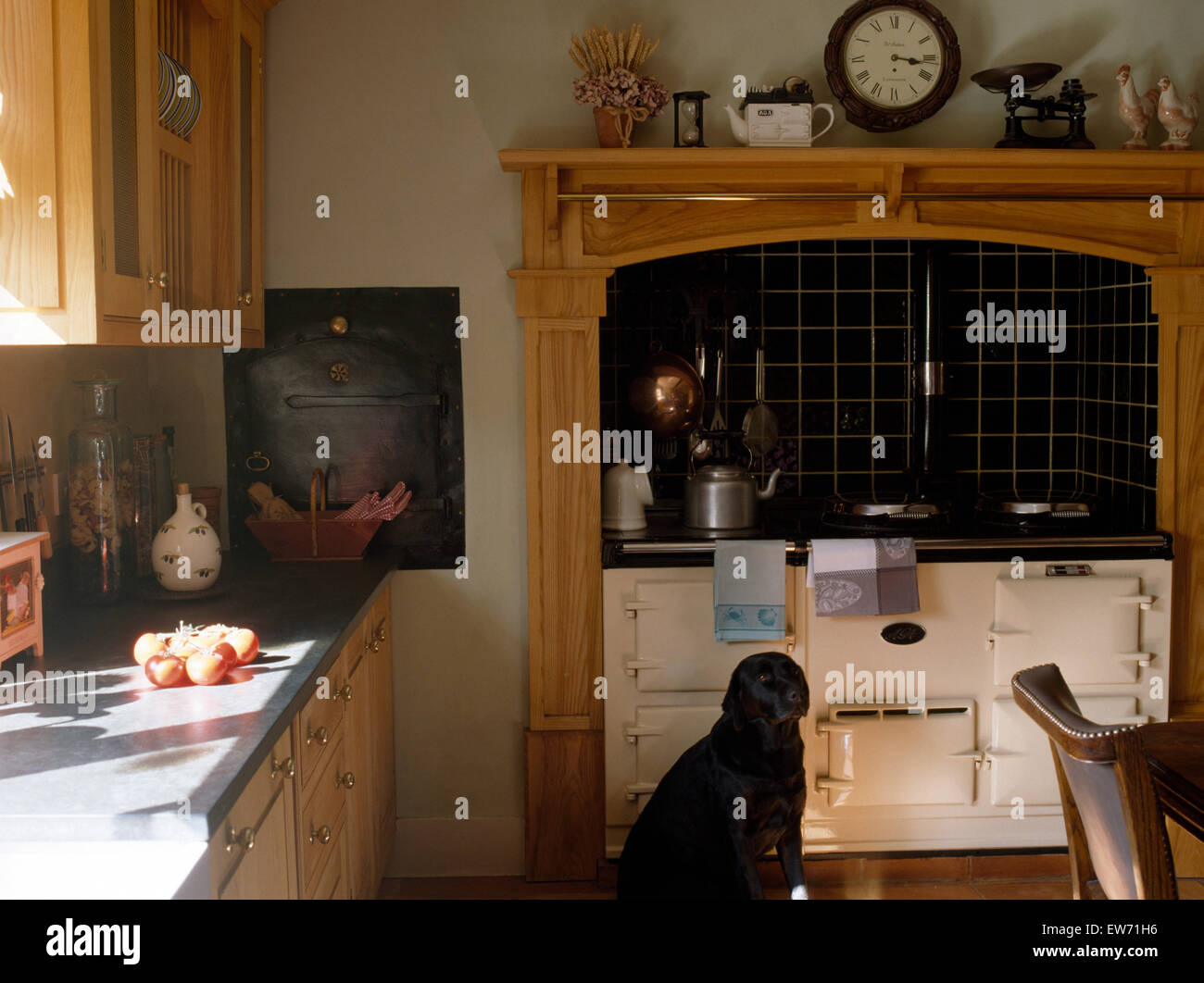 Chien Labrador noir assis à côté d'Aga crème four dans Country Kitchen Banque D'Images