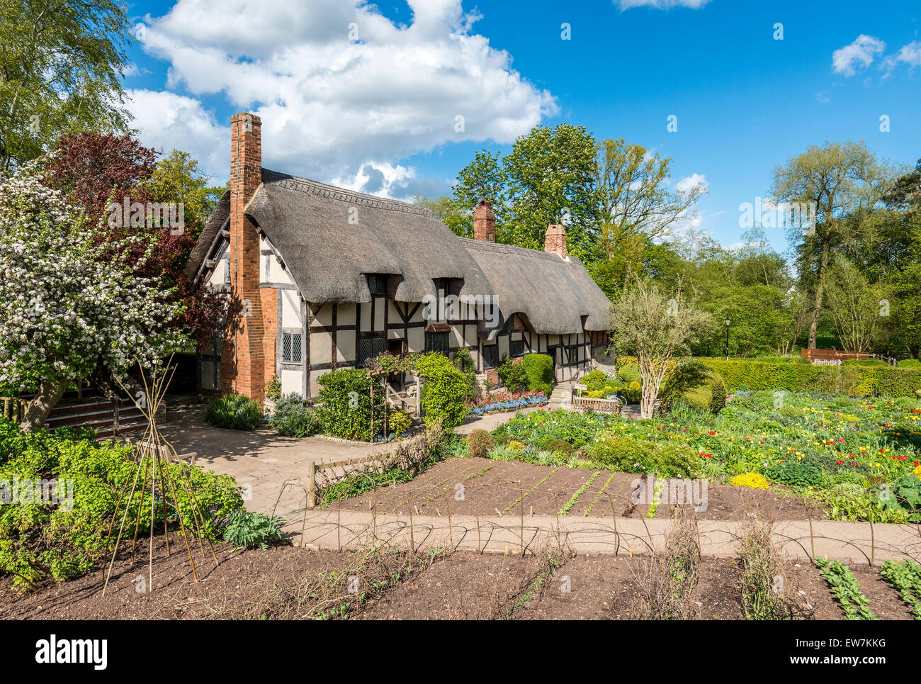 Anne Hathaway's Cottage était la résidence de l'épouse de William Shakespeare à Stratford upon Avon Banque D'Images