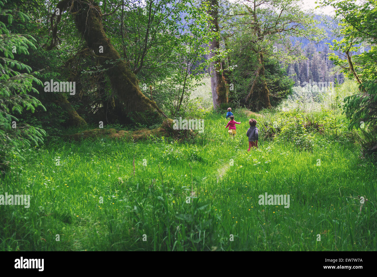 Trois enfants courant dans l'herbe haute Banque D'Images