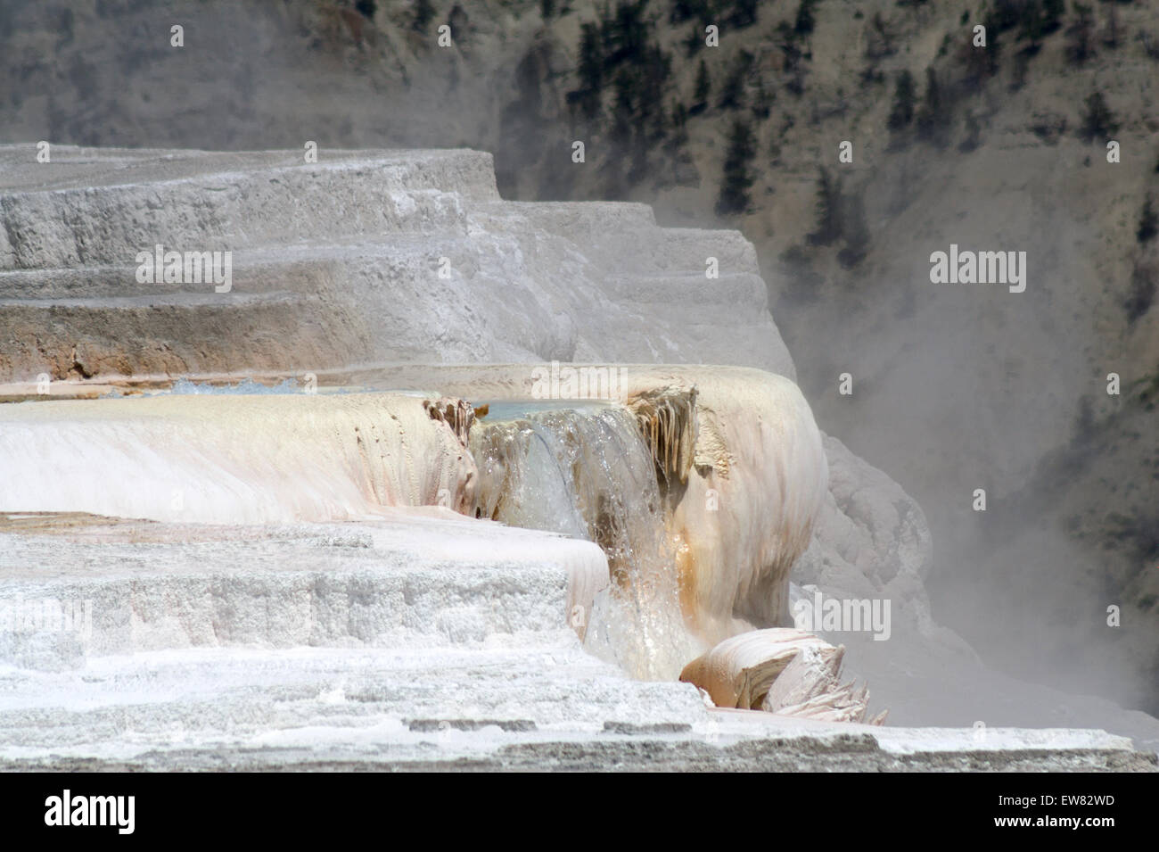 Terrasses de Yellowstone Banque D'Images