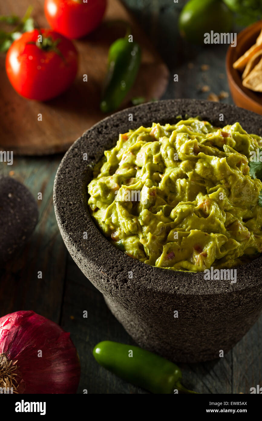 Du Guacamole et chips maison prêt à manger Banque D'Images