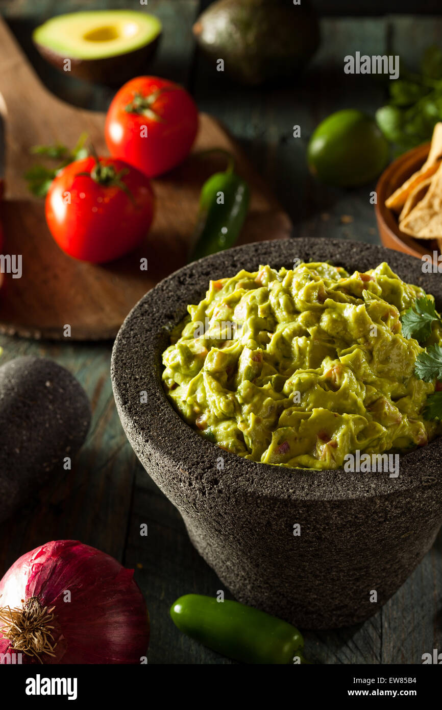 Du Guacamole et chips maison prêt à manger Banque D'Images