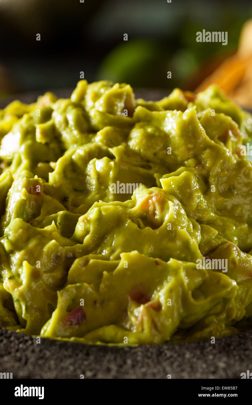 Du Guacamole et chips maison prêt à manger Banque D'Images