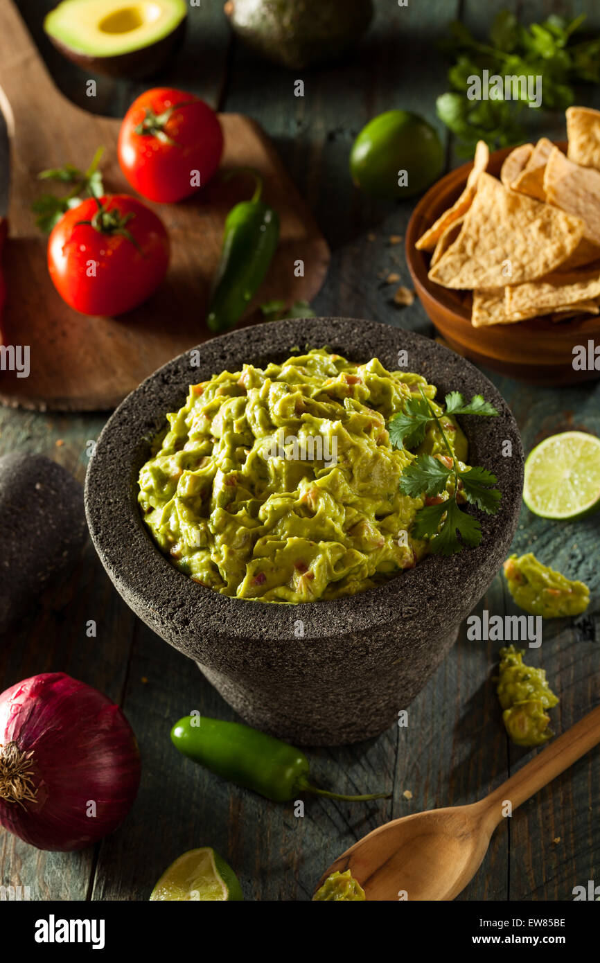 Du Guacamole et chips maison prêt à manger Banque D'Images