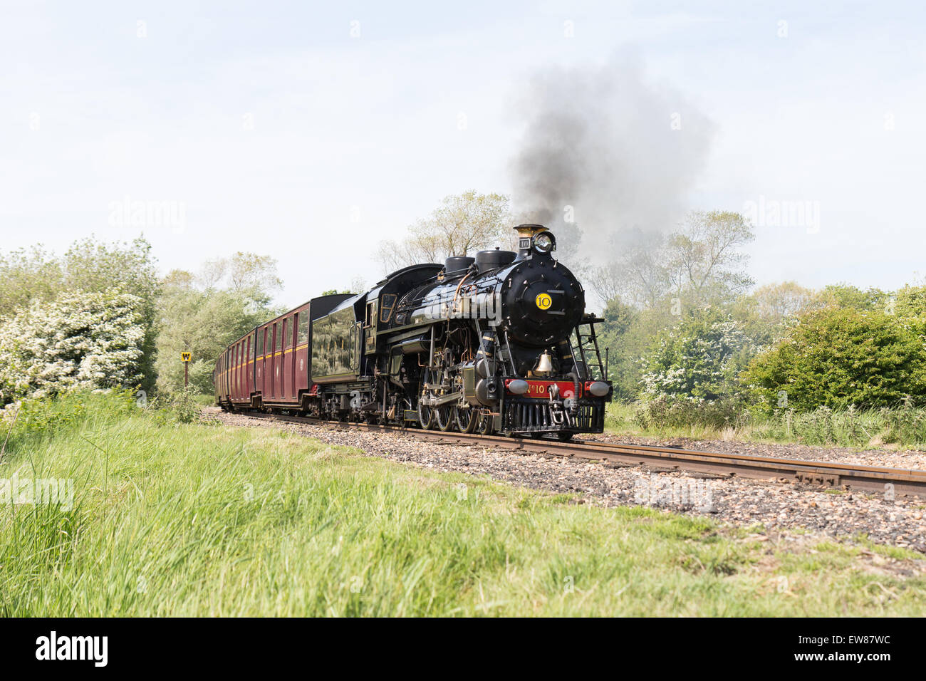 Petit train à vapeur sur le Romney, Hythe et Dymchurch Railway, Kent, Angleterre Banque D'Images