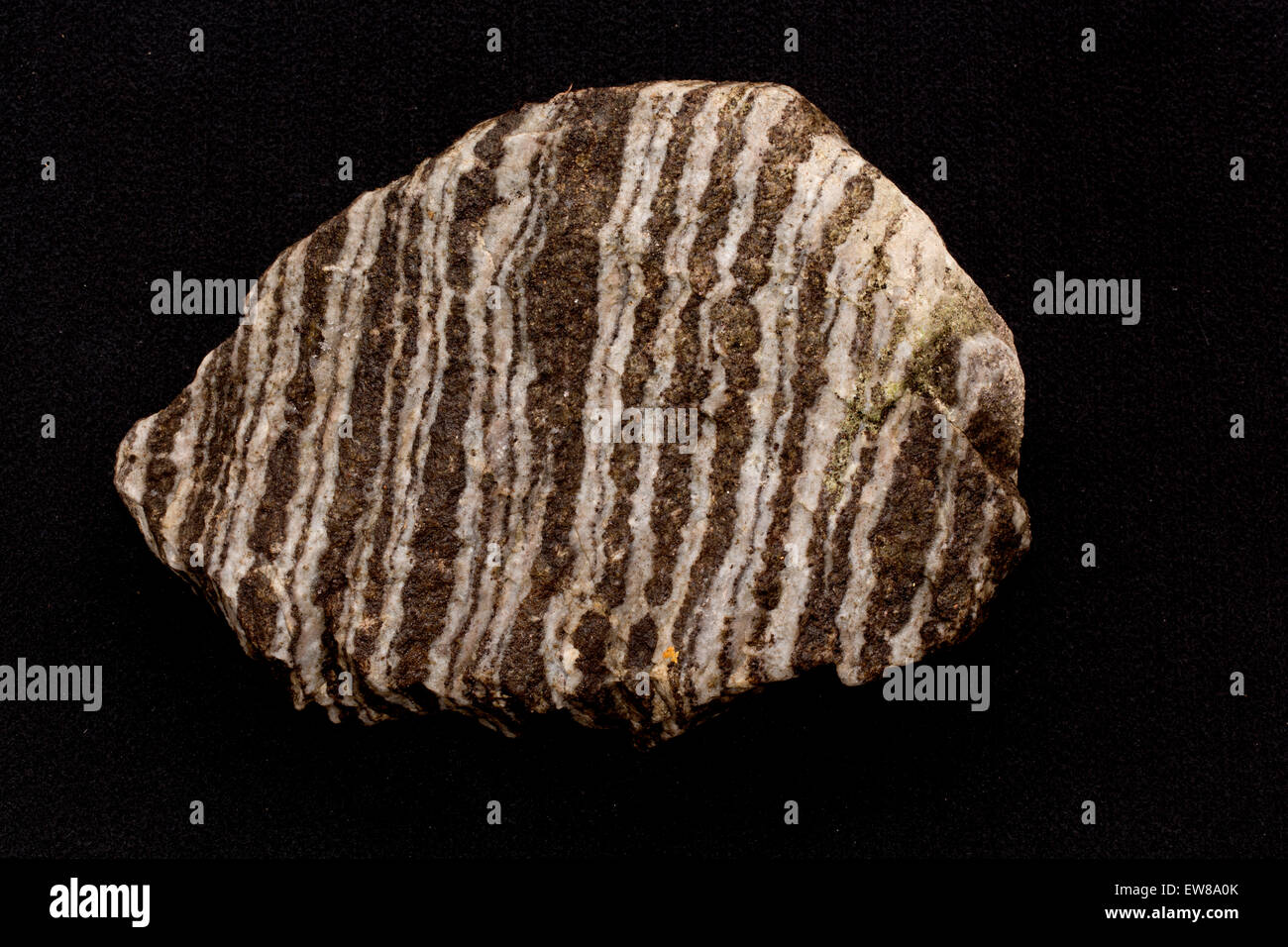 Gneiss folié, Maryland, une roche métamorphique Banque D'Images