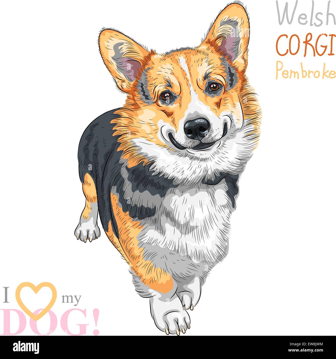 Croquis vecteur chien Pembroke Welsh Corgi smiling Illustration de Vecteur