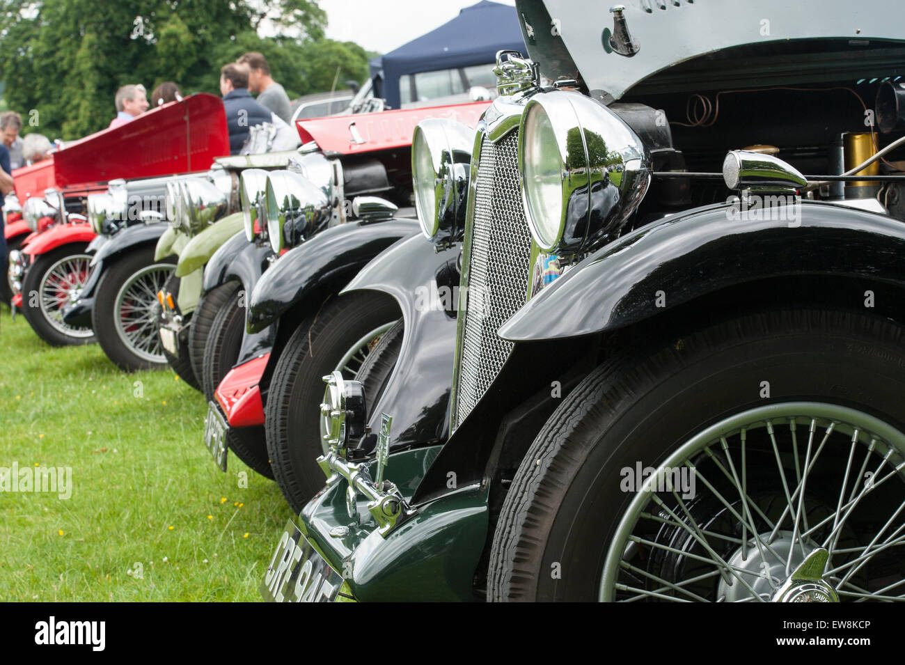 Classic, condition hall Singer motor cars à un congrès annuel à pied Park dans l'Oxfordshire Banque D'Images