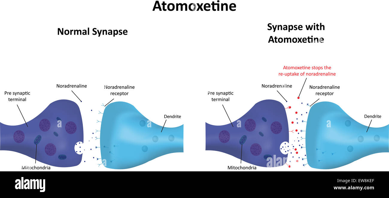 Atomoxetine Banque D'Images