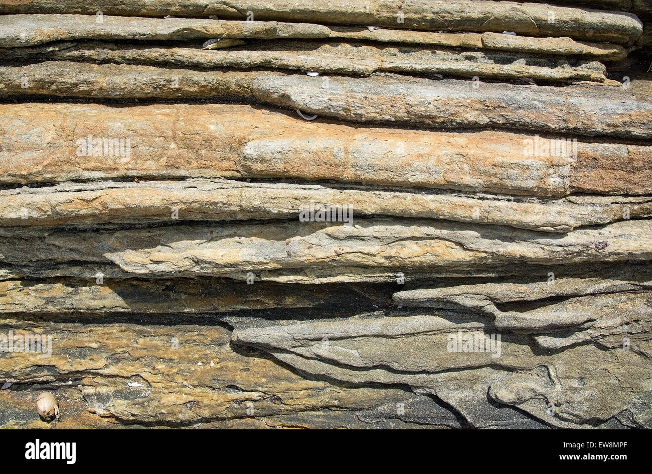 Rock fond clair avec des divisions, le Sri Lanka, en Asie. Banque D'Images