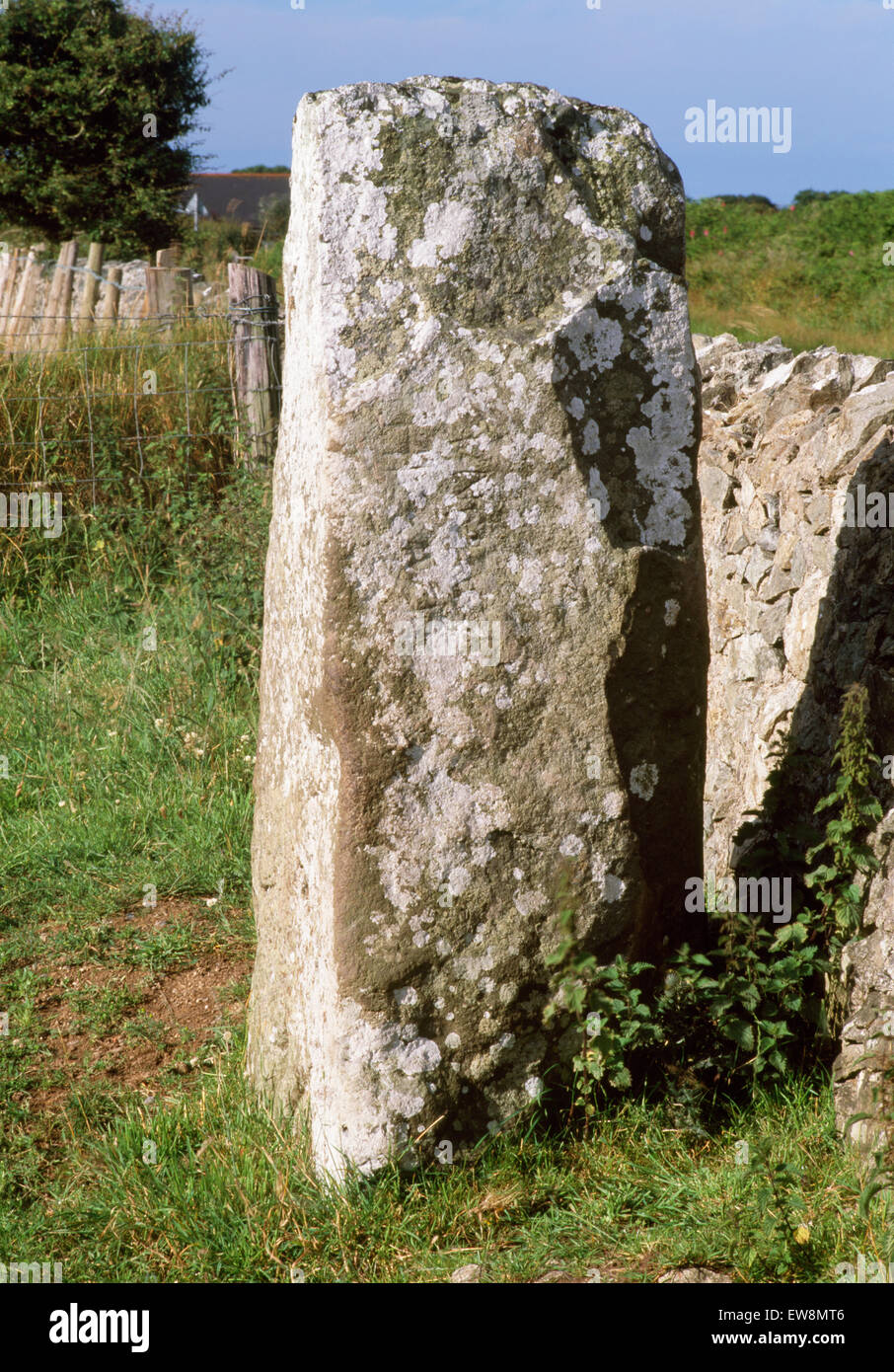 Bodfeddan Anglesey, Pierre : pierre avec un C6e inscription verticale de deux lignes en capitales romaines à Cunogusus, un noble nom d'origine irlandaise. Banque D'Images