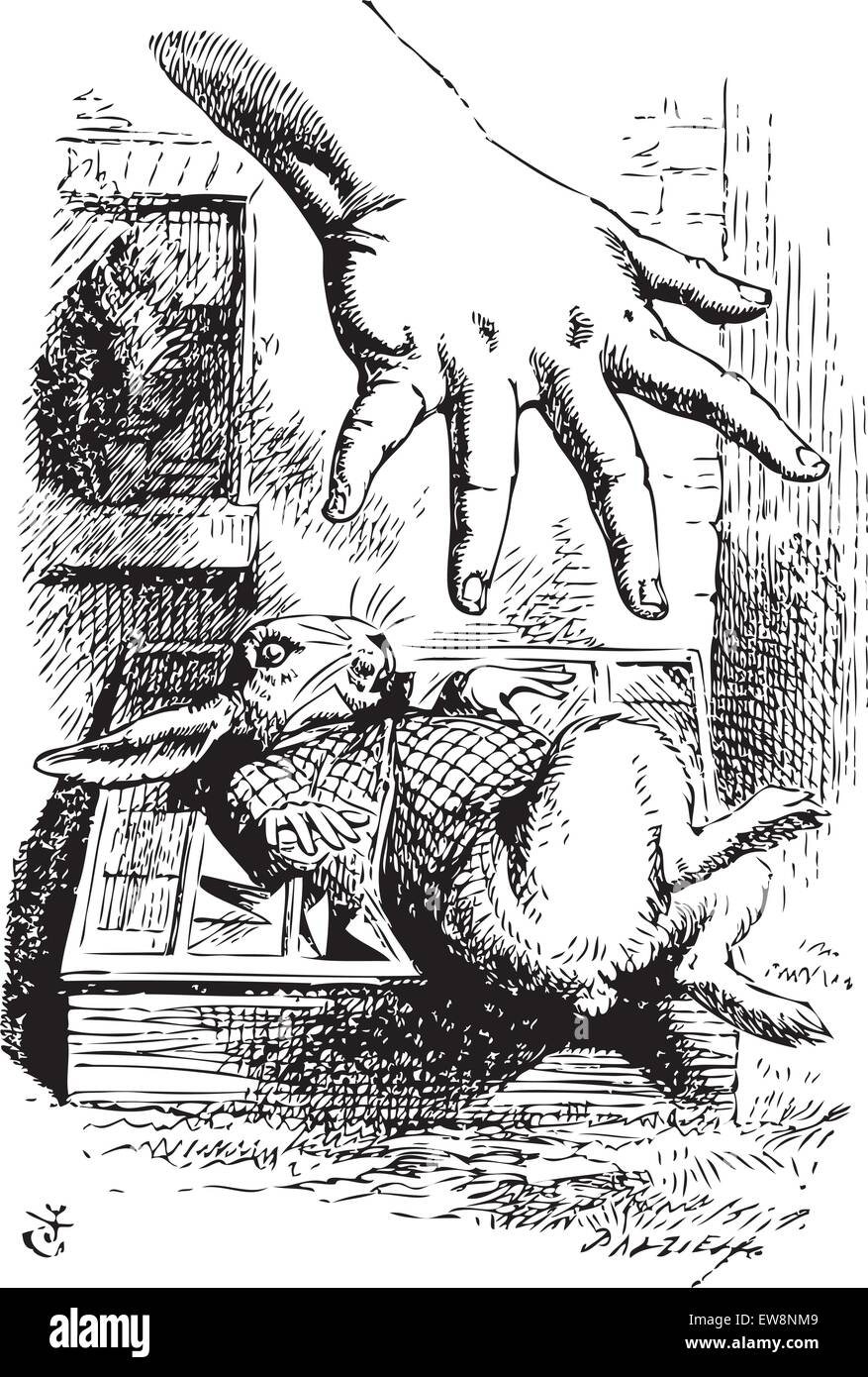Alice au Pays des Merveilles. Alice s'étend sa main et cherche à reprendre le lapin blanc. Alice's Adventures in Wonderland. Illustration Illustration de Vecteur