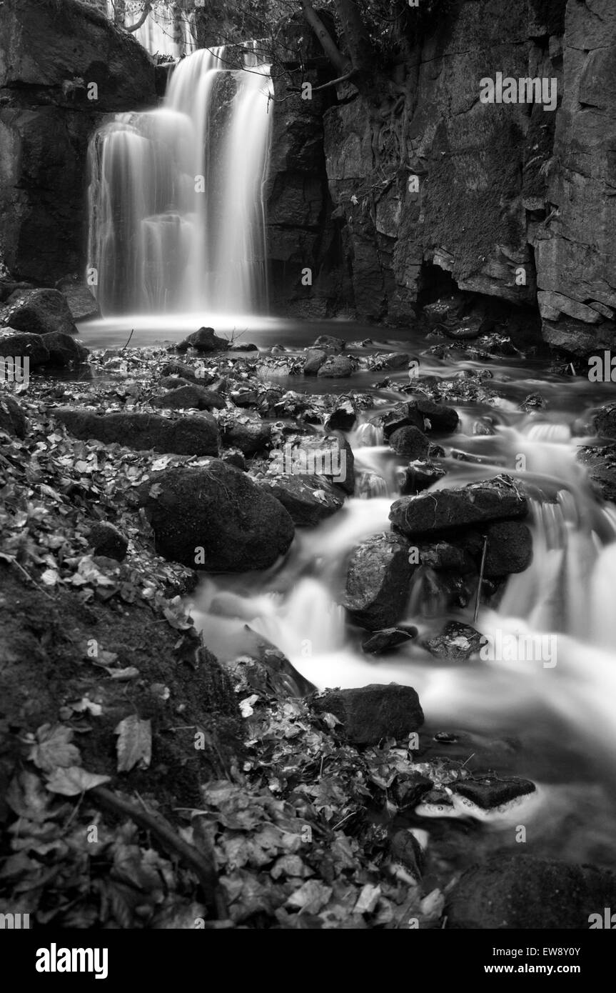 L'automne à Lumsdale tombe dans le Peak District, Derbyshire, Angleterre, Royaume-Uni Banque D'Images