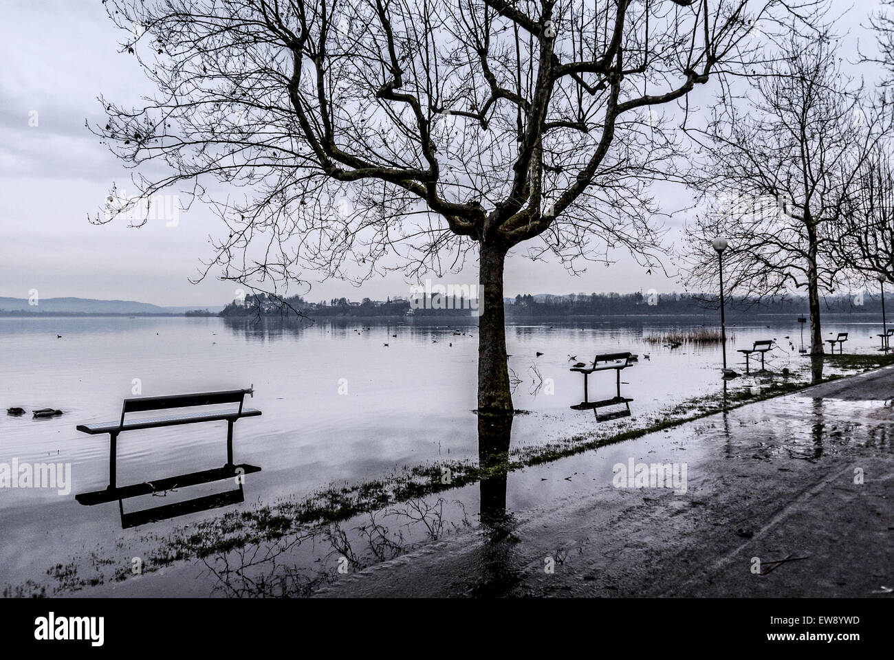 Le lac de Varèse, l'inondation en Gavirate - Lombardie, Italie Banque D'Images