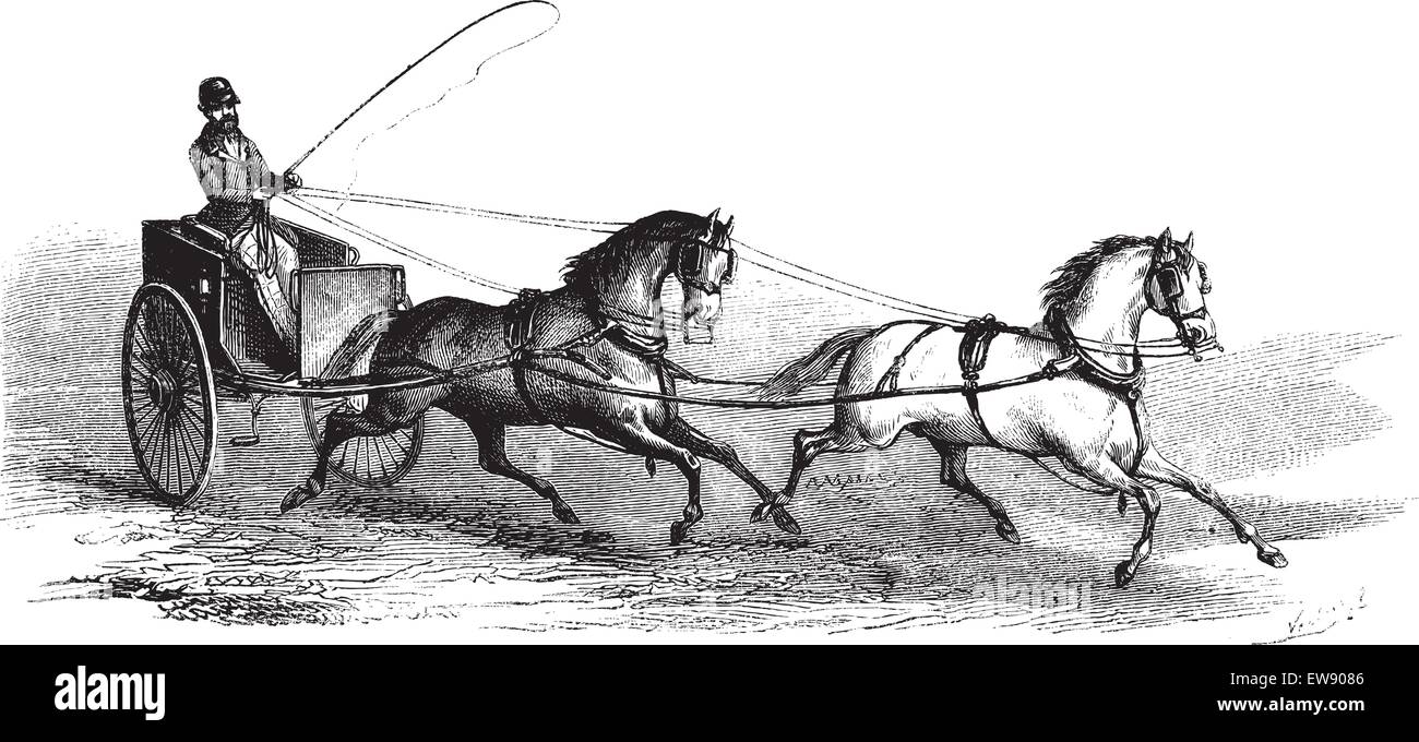 2-chariot tiré par 2 chevaux en tandem, vintage engraved illustration. Le Magasin pittoresque - Larive et Fleury - 1874 Illustration de Vecteur