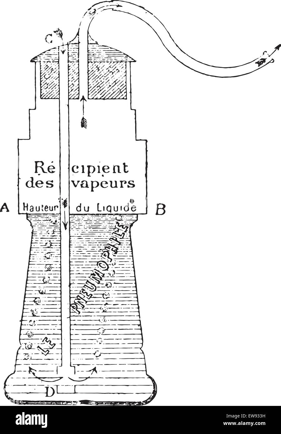 Pneumophila, vintage engraved illustration. Dictionnaire de médecine habituelle par le Dr Labarthe - 1885. Illustration de Vecteur