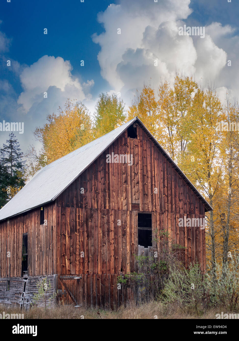 Grange avec la couleur de l'automne. Près de Trout Lake, Washington Banque D'Images