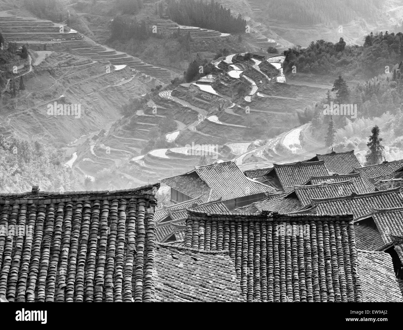 Village avec terrasse de riz et le brouillard du matin Banque D'Images