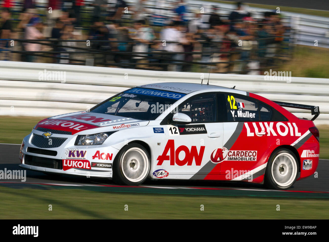 Yvan Muller, un pilote de premier plan du Championnat du monde des voitures de tourisme (WTCC) 2013, a participé à la course du Japon, mettant en valeur ses compétences de pilote lors de la séance de qualification pour l'événement. Banque D'Images